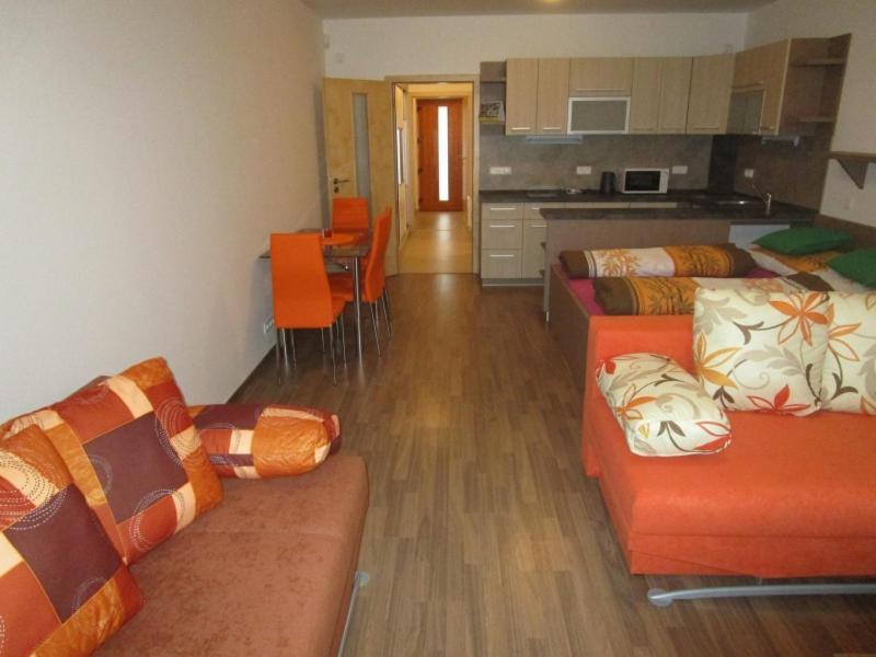 Apartman Ricky V Orlickych Horach Wüstenei Extérieur photo