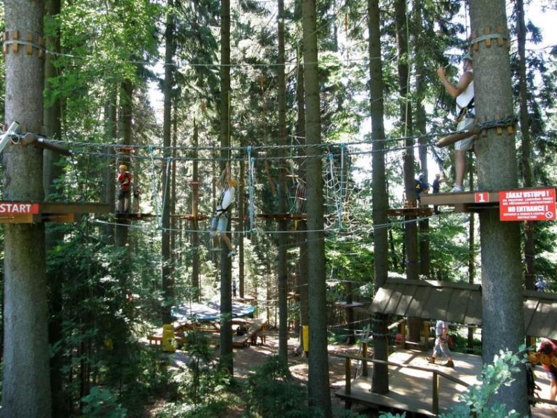 Apartman Ricky V Orlickych Horach Wüstenei Extérieur photo