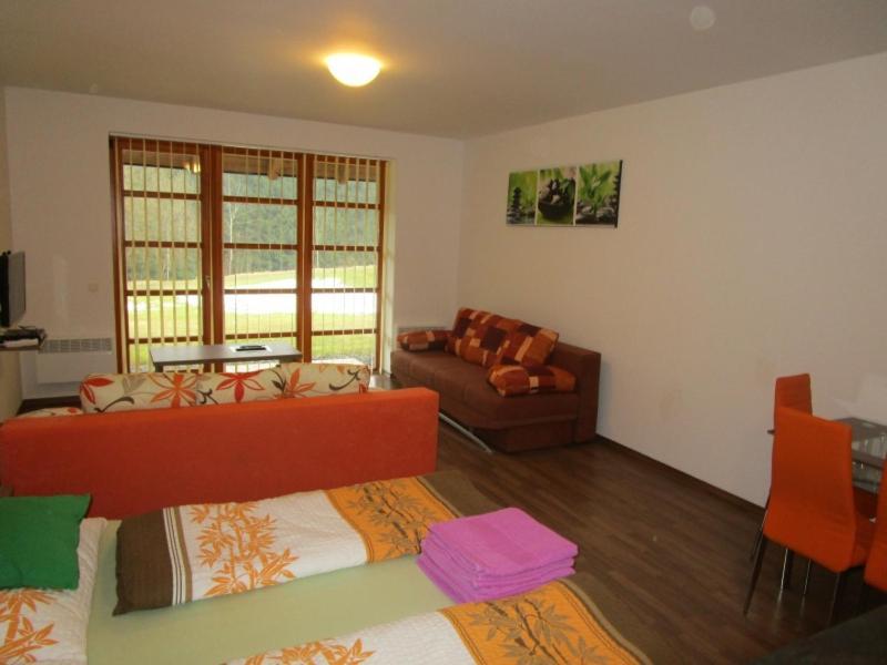 Apartman Ricky V Orlickych Horach Wüstenei Extérieur photo