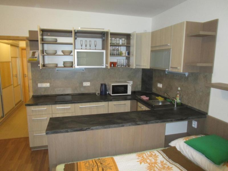 Apartman Ricky V Orlickych Horach Wüstenei Extérieur photo