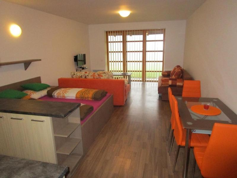 Apartman Ricky V Orlickych Horach Wüstenei Extérieur photo